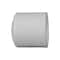Charlotte Pipe And Foundry Charlotte Pipe Schedule 40 1/2 in. Slip PVC Cap 1 pk PVC 02116 0600 - alternate 2